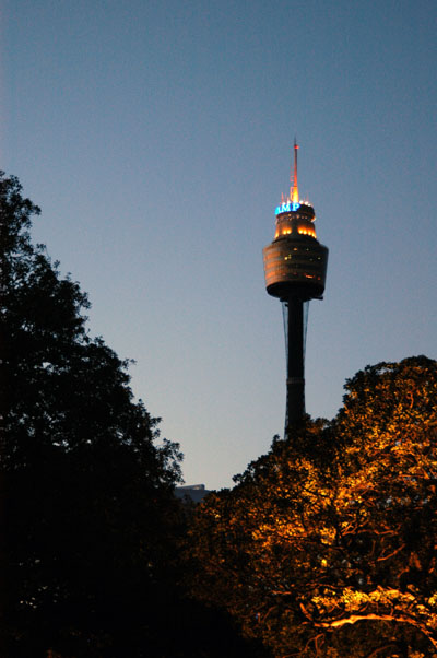 Sydney Tower at dusk