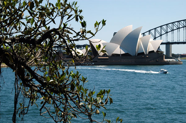 Sydney Opera House and Harbor Bridge from Mrs Macquarie's Point