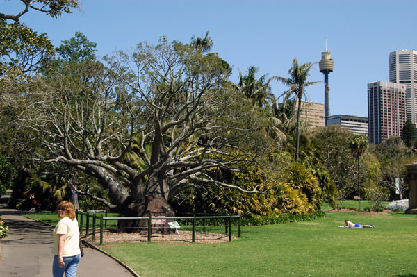 Royal Botanic Garden, Sydney