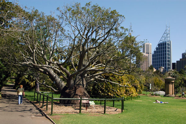 Royal Botanic Garden, Sydney