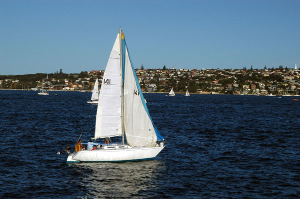 Sailboat, Sydney Harbour