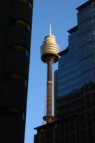 Sydney Tower (AMP Tower)