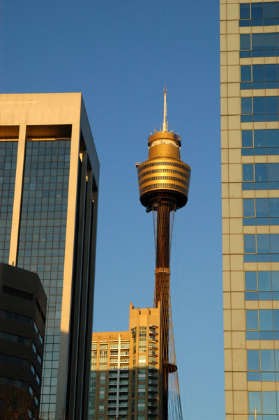 Sydney Tower