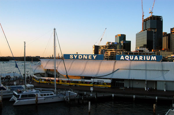 Sydney Aqaurium