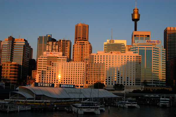 Sydney evening skyline