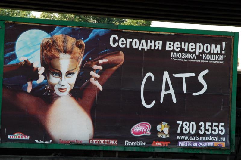Cats in Moscow