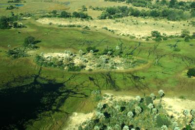 Okavango Delta