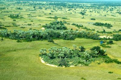 Okavango Delta