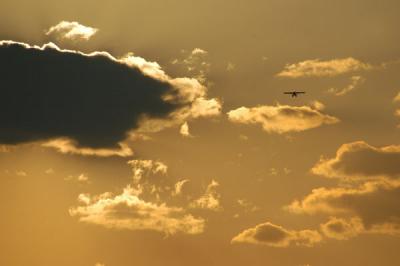 v3/93/329493/3/44245771.DSC_2242.jpg