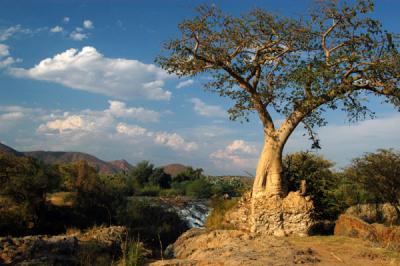 Baobabs give Epupa Falls a fairyland appearance