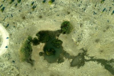 Goas waterhole near Halali, Etosha National Park