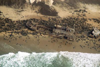Wreck of the Otavi, 1945, surrounded now by a fur seal colony at Spencer Bay