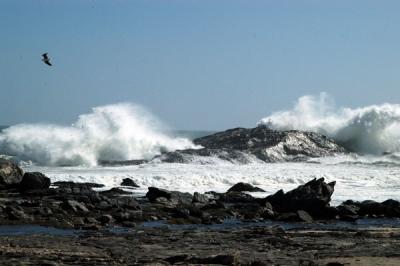 The wind today is pushing 30 knots