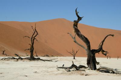 Dead Vlei