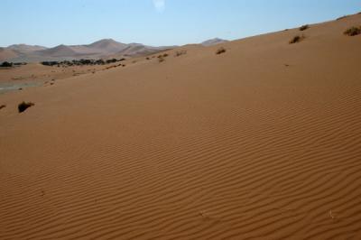 Namib Desert