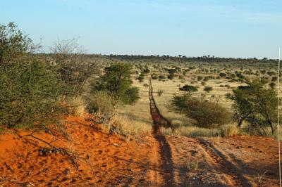 Crossing on of the parallel dunes crossing the farm