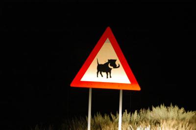 Warthog Crossing, Namibia