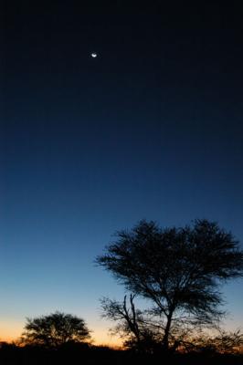 Dawn in Namibia
