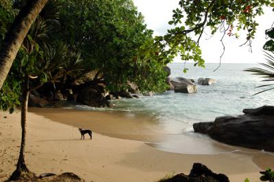 v3/93/329493/3/45745927.seychelles596.jpg