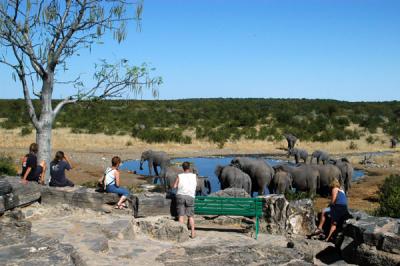 Spectators at the Halali waterhole