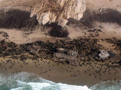 Wreck of the Otavi surrounded by a Cape Fur Seal colony