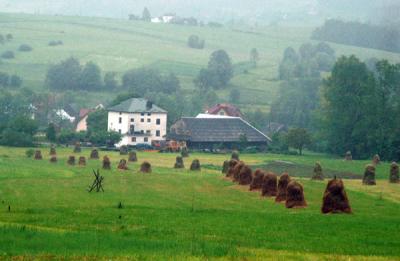 Rural Malopolskie landscape