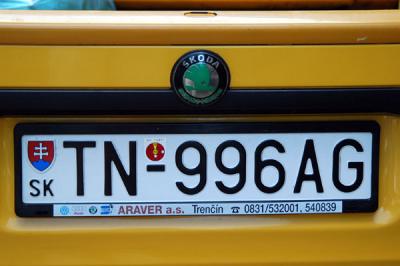 v3/93/329493/3/46885611.SKPL0100.jpg