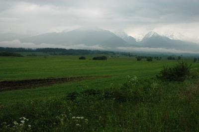 v3/93/329493/3/46928656.SKPL3445.jpg