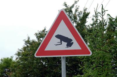 Caution...Frog Crossing, Low Tatras (Nzke Tatry) Slovakia