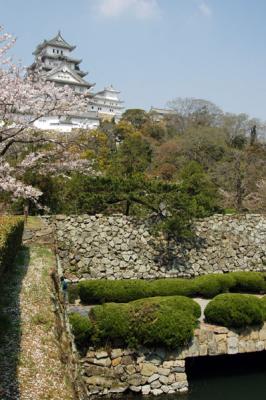 v3/93/329493/3/47179744.himejiapr05132.jpg