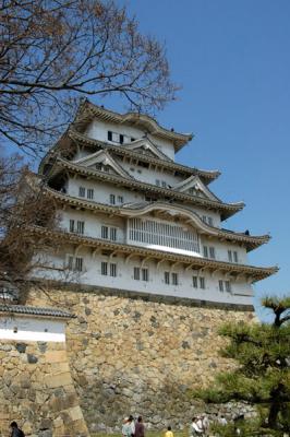 v3/93/329493/3/47181227.himejiapr05378.jpg