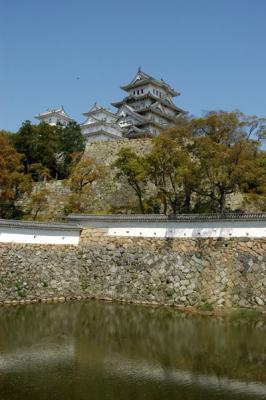 v3/93/329493/3/47181240.himejiapr05407.jpg