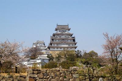 v3/93/329493/3/47181251.himejiapr05431.jpg