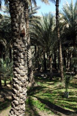 v3/93/329493/3/48636665.alainfeb05198.jpg