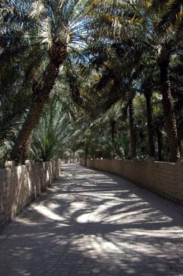 v3/93/329493/3/48636667.alainfeb05200.jpg