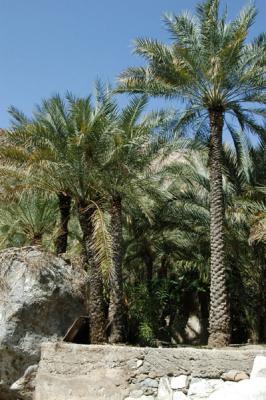 v3/93/329493/3/48933133.alaqahfeb04258.jpg