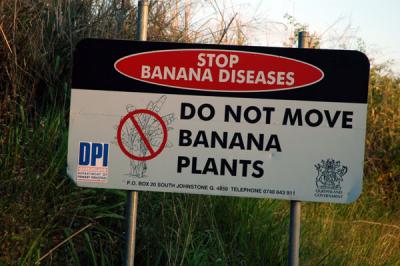 Banana Quarantine sign