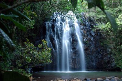 Ellinja Falls, Atherton Tableland