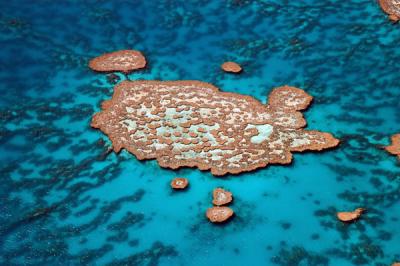 v3/93/329493/3/51154427.Whitsundays133.jpg