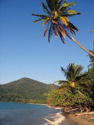 Dunk Island, QLD