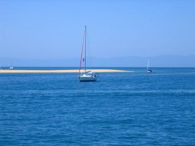 v3/93/329493/3/51158217.DiveMissionBeachOct05012.jpg