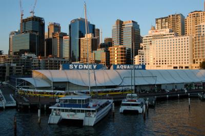 v3/93/329493/3/51410977.SydneyOct05413.jpg
