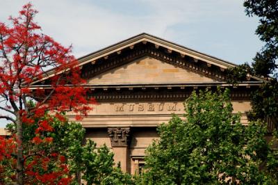 Australian Museum