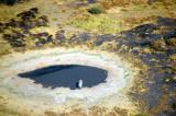 Our first elephant at a waterhole just north of Maun