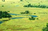 Okavango Delta