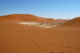 Dead Vlei