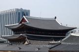 Rooftops of Gyeongbokgung Palace with modern Seoul