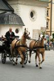 Horse drawn carriage, St. Adalberts Church