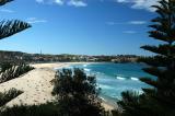 Bondi Beach