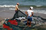 Inspecting the haul